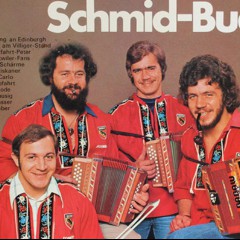 Schwyzerörgeli-Trio Gody Schmid