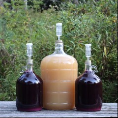 Homemade Wine