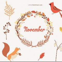 Art of November