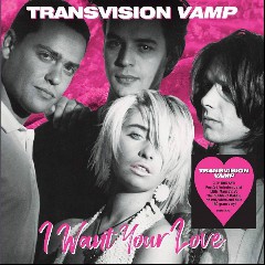 I Want Your Love