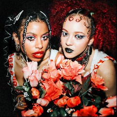 Nova Twins