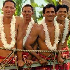 The Surfers