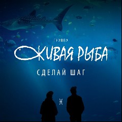 Группа «Живая Рыба»