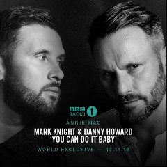 Mark Knight & Danny Howard