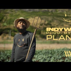 indywayne