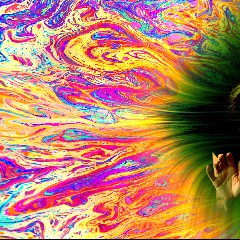 Negative Trip