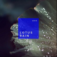 Adio