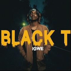 Black T Igwe