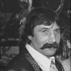 Hans Orsolics
