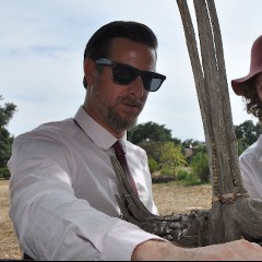 Woolfy & Projections