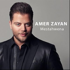 Amer Zayan
