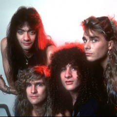 White Lion