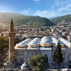 Bursa
