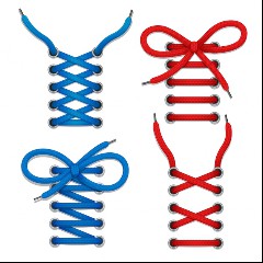 The Shoe Laces