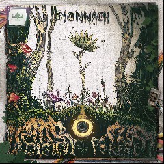 Sionnach