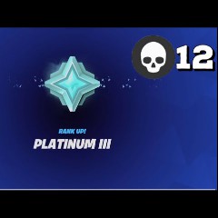 PLATINUM 2