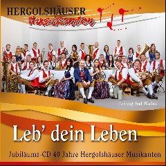 Hergolshäuser Musikanten