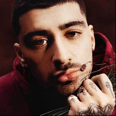 ZAYN