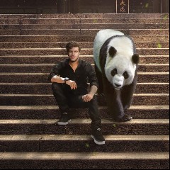 Viva La Panda