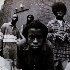 The Roots