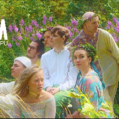 Vimma