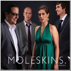 The Moleskins