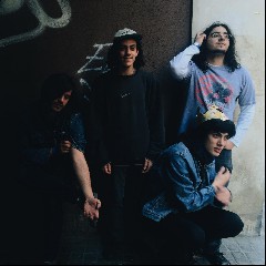 Pane