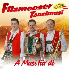 Aufhamer Tanzlmusi