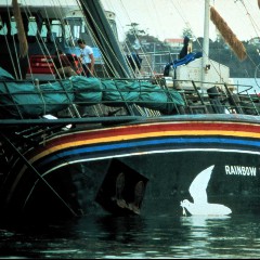 Rainbow Warrior