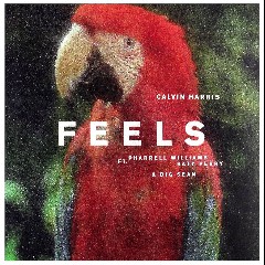 Calvin Harris Feat Pharrell Williams