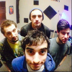 The Quins