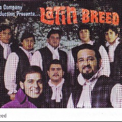 Latin Breed