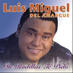 Luis Miguel del Amargue