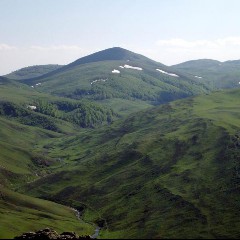 yeryüzü