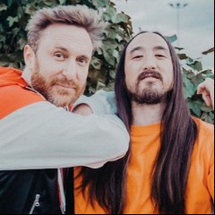 David Guetta & Steve Aoki