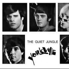 The Quiet Jungle