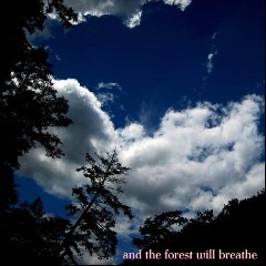 And The Forest Will Breathe