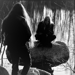 Havukruunu