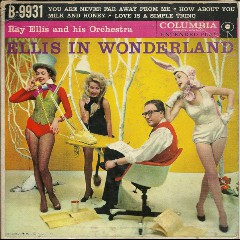 Ray Ellis and His Orchestra