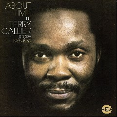 Terry Callier