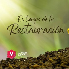 Restauracion