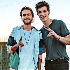 Shawn Mendes & Zedd