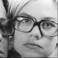 The Rentals