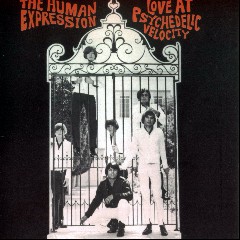 The Human Expression