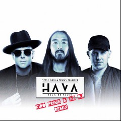 Steve Aoki & Timmy Trumpet feat. Dr. Phunk