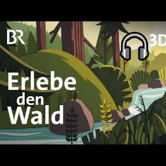 Waldgeräusche