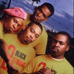 The 2 Live Crew