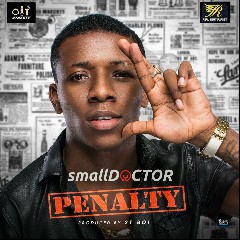 SmallDoctor
