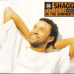 Shaggy feat. Rayvon