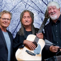 Travellin' Strawberries